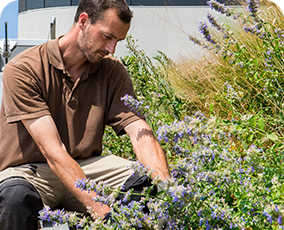 potagers d'entreprise rse